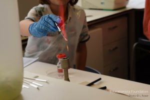 Science Outreach Day. Photo credit © L Rowe 2016